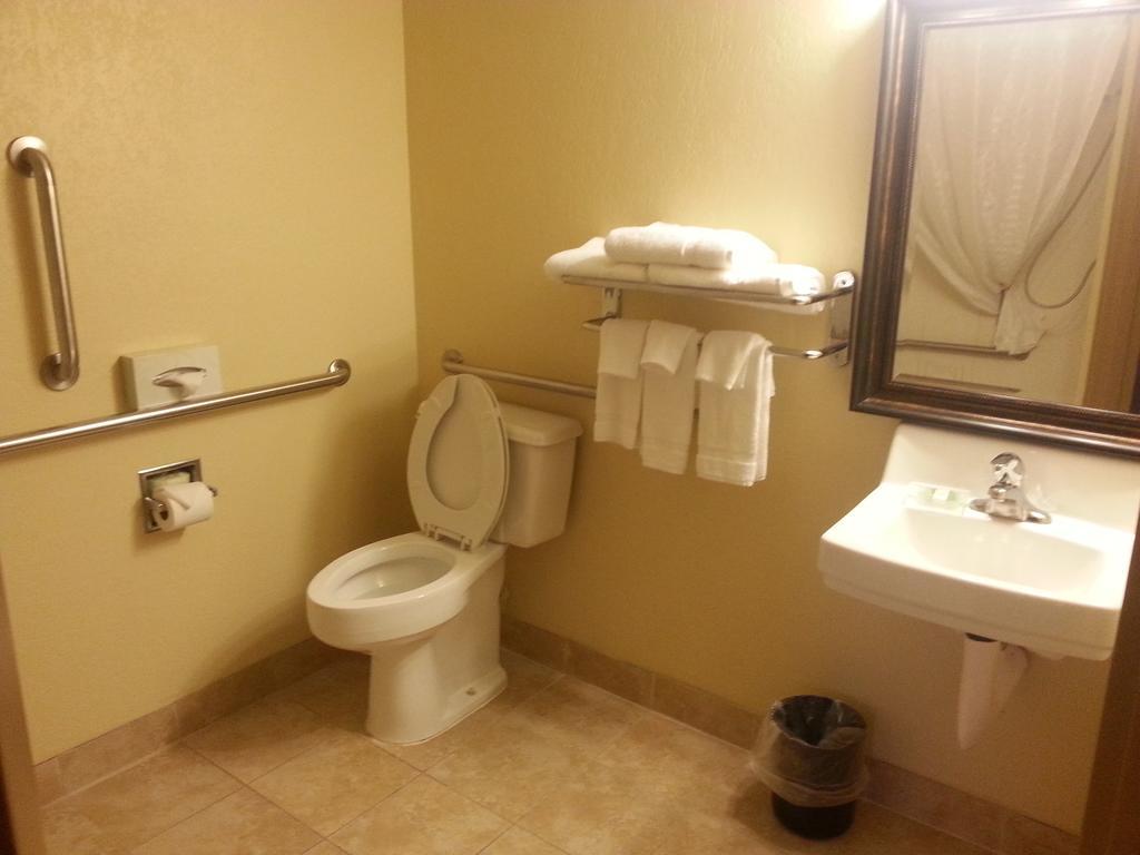Quality Inn & Suites Saginaw Rom bilde