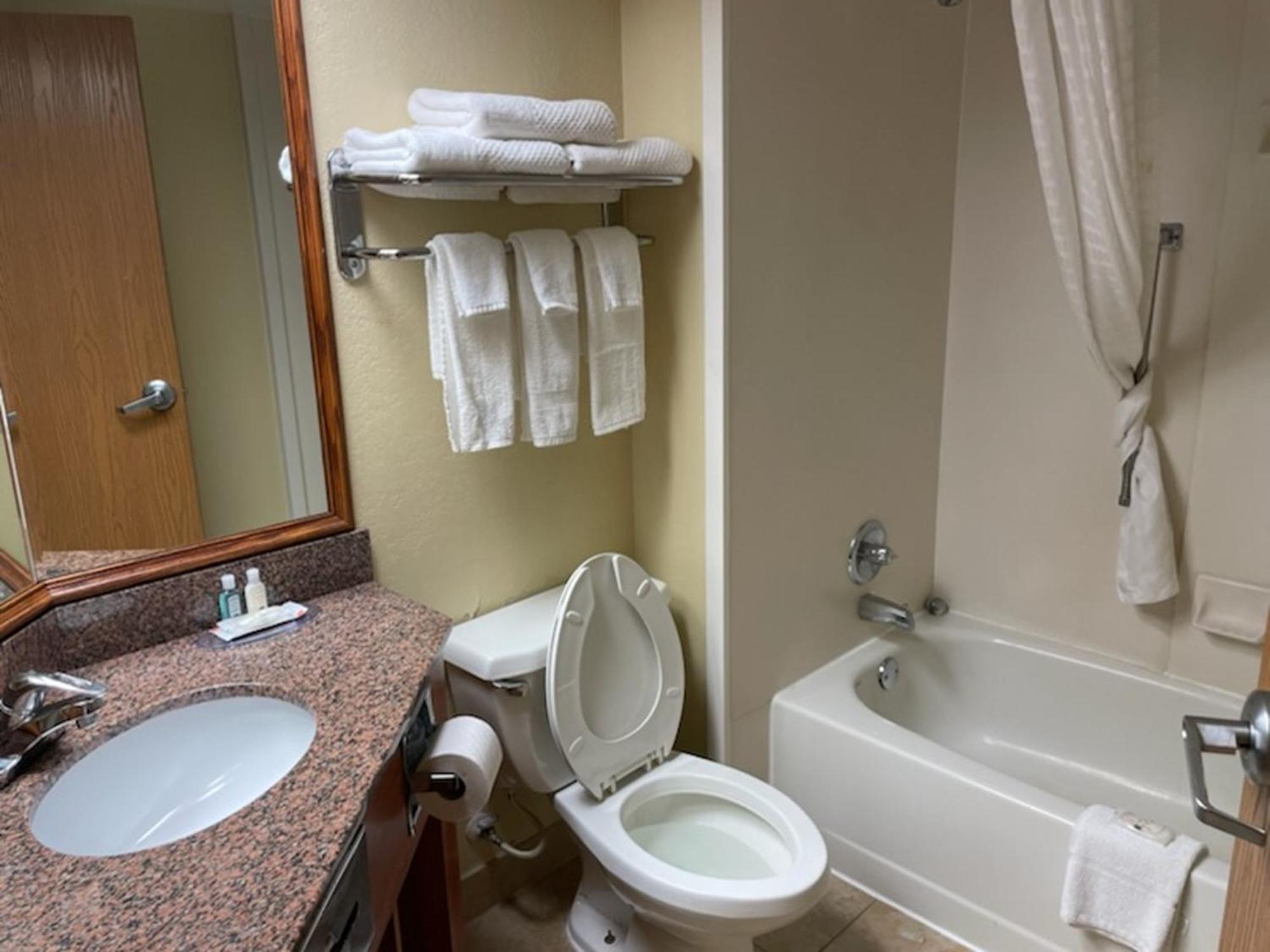 Quality Inn & Suites Saginaw Eksteriør bilde